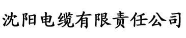 亚洲国产成人字幕久久电缆厂logo